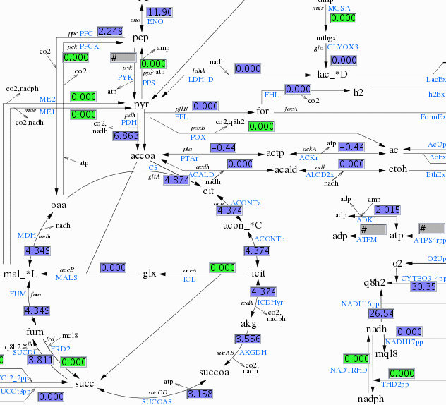 CellNetAnalyzer: A Software Package for Analyzing Structure and Function of Cellular Networks