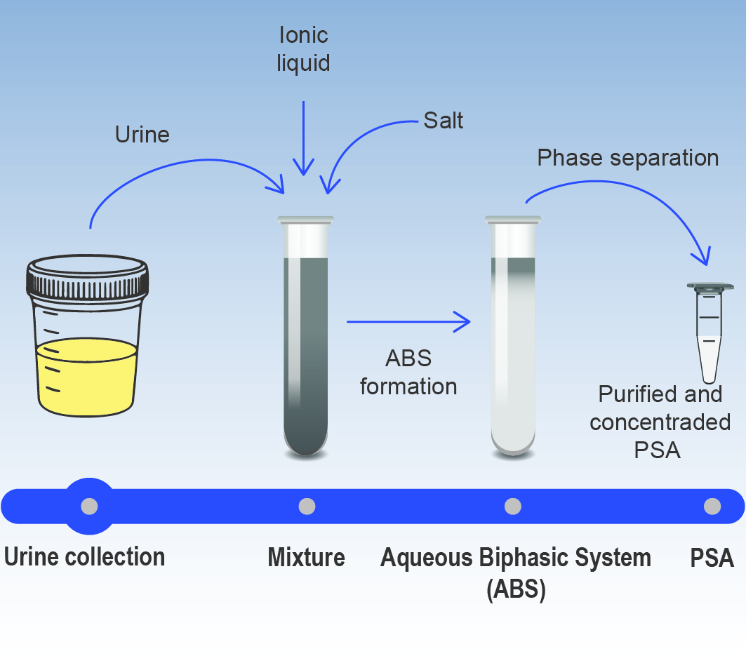 PSA purification and concentration from urine samples for non-invasive early stage diagnosis of prostate cancer