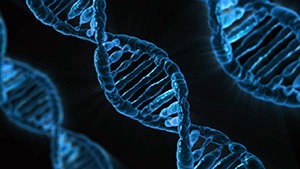 Ciencias Biológicas