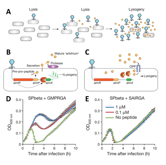 A Novel Synthetic Biology Platform for Controlling Gene Expression