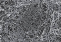 Bacterial nanocellulose biomaterial production