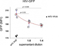 Production of high-affinity antibodies through the in vitro recreation of a germinal center