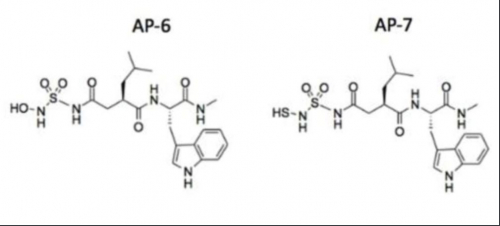 Glioblastoma Multiforme Sulphonamide Based Peptide MMP Inhibitors