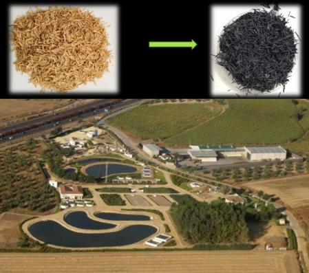 Rice husk as a filter for the removal of contaminants in water