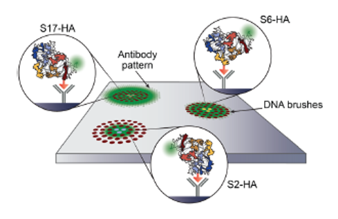On-Chip Synthetic Biology Platform for Diagnostics and Therapeutics