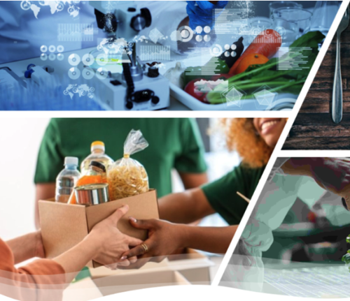 Next-generation proteins for resilient and regenerative food systems (LUT University – Kouvola, Finland)