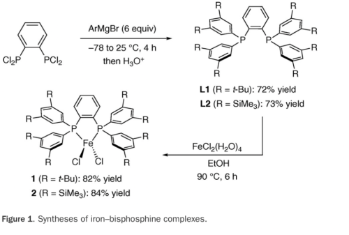 Materials based on iron-catalyzed synthesis
