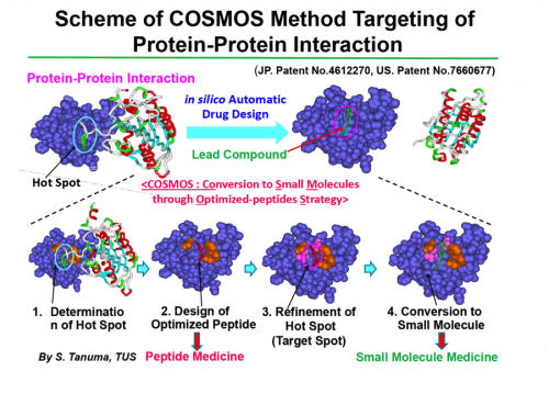 In silico platform for targeting protein-protein interaction, pharmacogenomics “COSMOS”