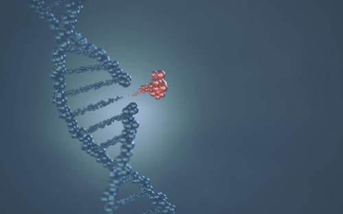 Applications of Gene Editing